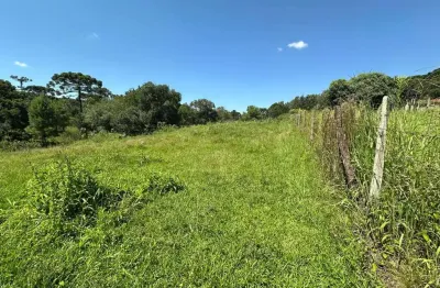Chácara / sítio à venda na Área Rural de Guarapuava, Guarapuava 