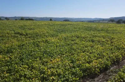 Chácara / sítio à venda no Zona Rural, Guaraniaçu 