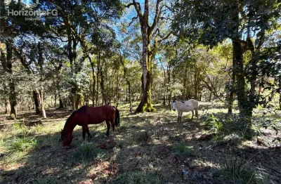 Chácara / sítio à venda na Área Rural de Guarapuava, Guarapuava 