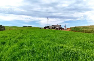 Chácara / sítio à venda na Área Rural de Guarapuava, Guarapuava 
