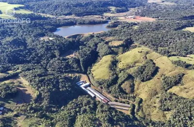 Chácara / sítio à venda na Área Rural de Guarapuava, Guarapuava 