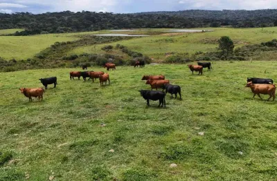 Chácara / sítio à venda na Área Rural de Guarapuava, Guarapuava 