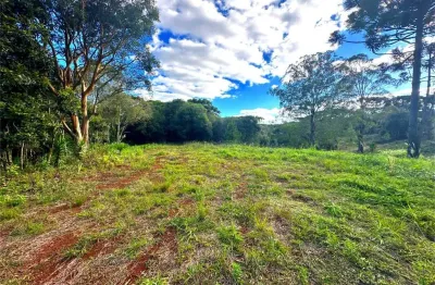 Chácara / sítio à venda no Palmeirinha, Guarapuava 