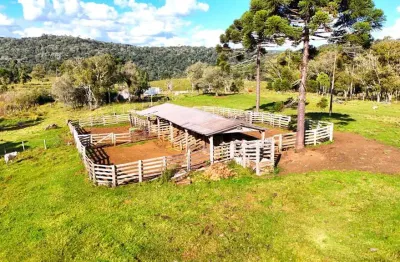 Chácara / sítio à venda na Área Rural de Guarapuava, Guarapuava 