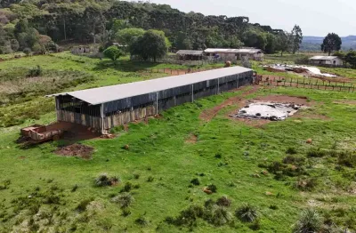 Chácara / sítio à venda na Área Rural de Guarapuava, Guarapuava 