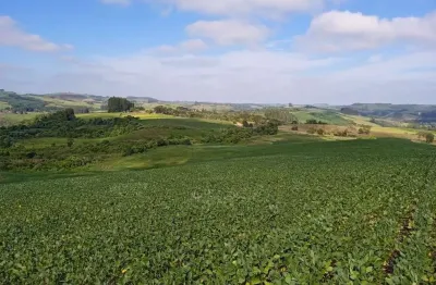 Chácara / sítio à venda na Zona Rural, Goioxim 