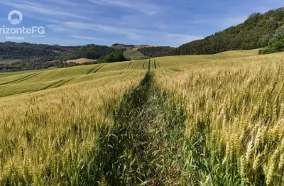 Chácara / sítio à venda na Zona Rural, Candói 