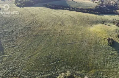 Chácara / sítio à venda na Área Rural de Guarapuava, Guarapuava 