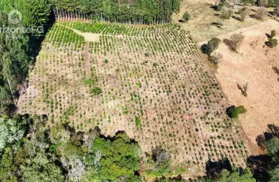 Chácara / sítio à venda na Área Rural de Guarapuava, Guarapuava 