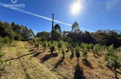 Chácara / sítio à venda na Área Rural de Guarapuava, Guarapuava 