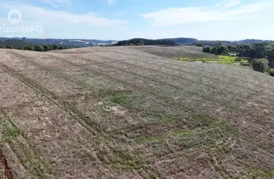 Chácara / sítio à venda na Área Rural de Guarapuava, Guarapuava 