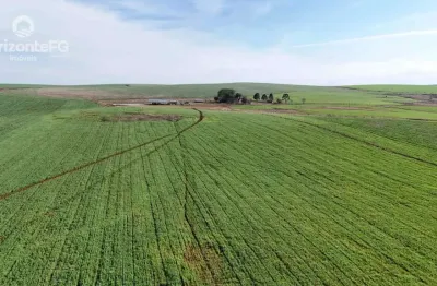 Chácara / sítio à venda na Área Rural de Guarapuava, Guarapuava 