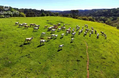 Chácara / sítio à venda na Área Rural de Guarapuava, Guarapuava 