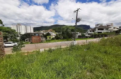 Terreno com vista para a colina à venda, 425 m² - pedra branca - palhoça/sc