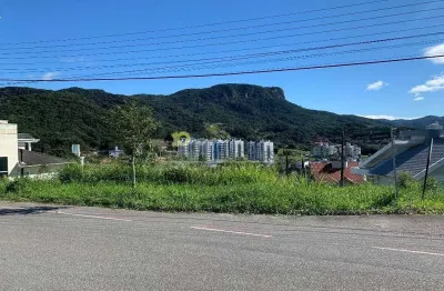 Terreno à venda, cidade universitária pedra branca, palhoça, sc