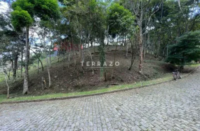 Terreno em condomínio fechado à venda no Vargem Grande, Teresópolis 