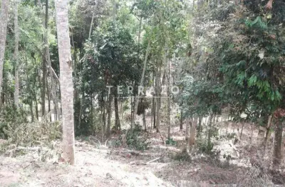 Terreno à venda na Barra do Imbuí, Teresópolis 