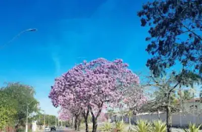 Casa em condomínio fechado com 4 quartos à venda no Jardim das Colinas, São José dos Campos 
