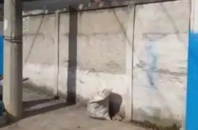 Casa com 2 quartos à venda no Jardim Imperial, São José dos Campos 