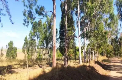 Chácara / sítio à venda na Av. ÁGuas Claras, Centro, São Pedro