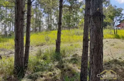 Terreno à venda, 3200 m² por r$ 660.000,00 - caxambu - jundiaí/sp
