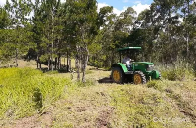 Terreno à venda, 3200 m² por R$ 660.000,00 - Caxambu - Jundiaí/SP