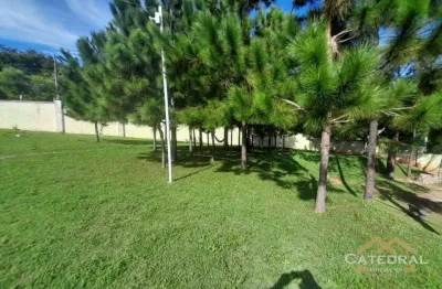 Terreno em condomínio fechado à venda na Rua Geraldo Antônio Pereira, 350, Jardim Quintas das Videiras, Jundiaí