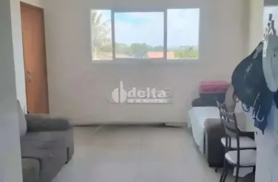 Apartamento para venda no bairro segismundo pereira em uberlândia-mg