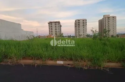 Terreno disponível para venda 250 m² no bairro loteamento luizote de freitas iv em uberlândia-mg