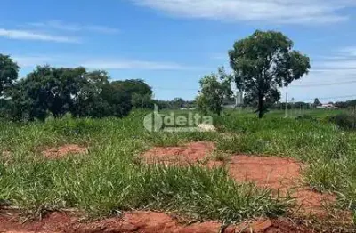 Terreno disponível para venda 250 m² no bairro Loteamento Luizote de Freitas IV em Uberlândia-MG