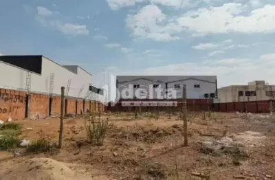 Terreno disponível para venda no bairro Alto Umuarama em Uberlândia-MG