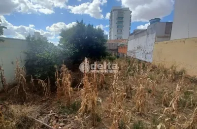 Terreno disponível para venda no bairro vigilato pereira em uberlândia-mg