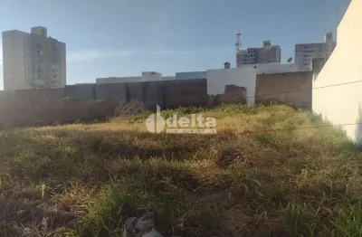 Terreno disponível para venda 500 m² no bairro bosque dos buritis em uberlândia-mg