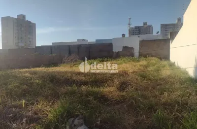 Terreno disponível para venda 500 m² no bairro bosque dos buritis em uberlândia-mg