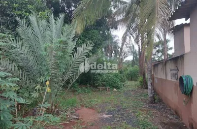 Chácara residencial disponível para venda no bairro morada nova em uberlândia-mg