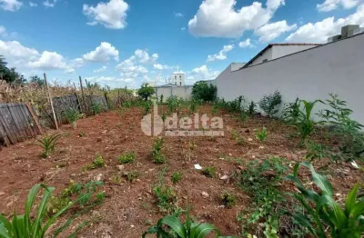 Terreno disponível para venda 300 m² no bairro pampulha em uberlândia-mg