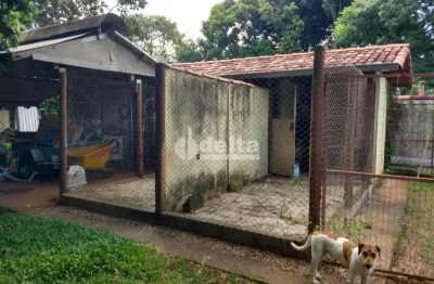 Chácara residencial disponível para venda no bairro panorama em uberlândia-mg