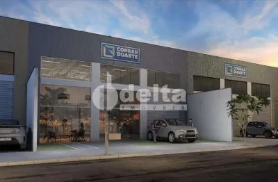 Galpão disponível para venda no bairro segismundo pereira em uberlândia-mg