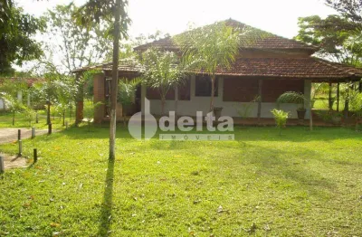 Chácara residencial disponível para venda no bairro morada nova em uberlândia-mg