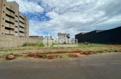 Terreno disponível para venda 300 m² no bairro Novo Mundo em Uberlândia-MG