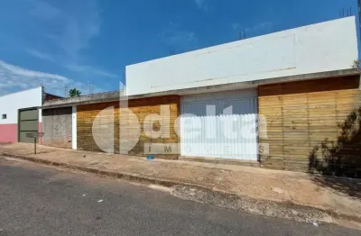 Casa residencial disponível para venda no bairro segismundo pereira em uberlândia-mg