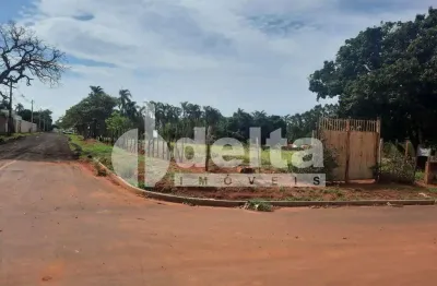 Terreno disponível para venda 5.000m² no bairro morada dos pássaros em uberlândia-mg