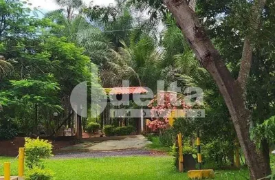 Chácara residencial disponível para venda no bairro minas gerais em uberlândia-mg