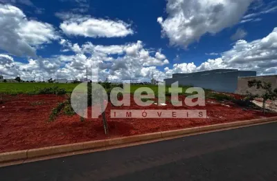 Terreno disponível para venda 500 m² no bairro loteamento portal do vale ii em uberlândia-mg