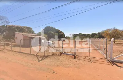 Chácara disponível para venda na zona rural de uberlândia em uberlândia-mg