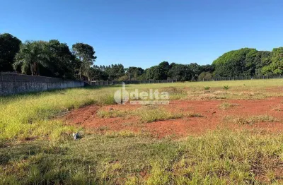 Terreno disponível para venda no bairro morada dos pássaros em uberlândia-mg