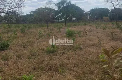 Chácara disponível para venda na zona rural de uberlândia em uberlândia-mg