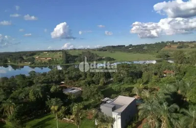 Chácara disponível para venda na zona rural de uberlândia em uberlândia-mg