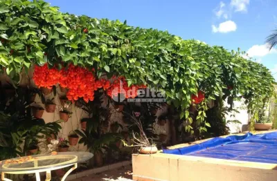 Casa residencial disponível para venda no bairro jardim colina em uberlândia-mg