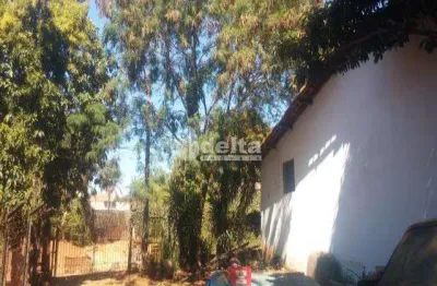 Chácara residencial disponível para venda no bairro chácaras tubalina e quartel em uberlândia-mg